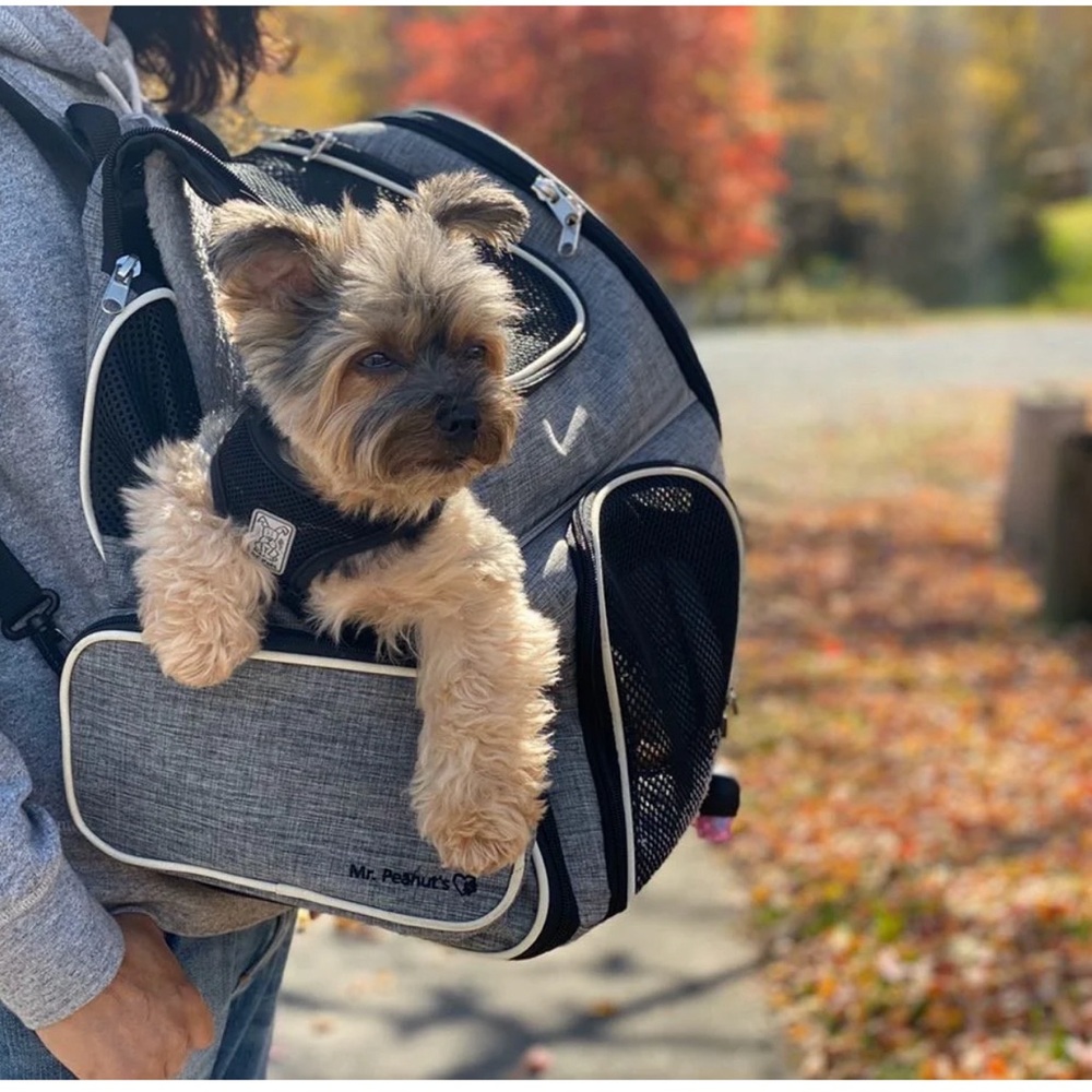 NWT Rolling Mr. Peanut's Malibu Backpack Pet Carrier With Detachable Wheelbase